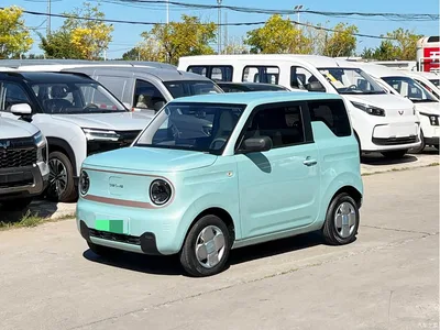 2024 Geely Galaxy Panda mini 200km Endurance Bear, фото 1, лот 10429402