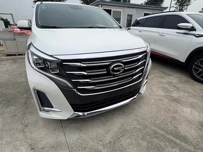 2020 GAC Trumpchi Trumpchi M8 Pilot 390T Luxury Edition, фото 3, лот 10417711