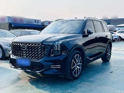 2024 GAC Trumpchi Trumpchi GS8 Navigator Series 2.0TGDI 2WD Luxury Smart Connect Edition, фото 3, лот 10424067