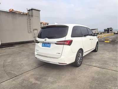2020 Buick GL8 Model Land Business Class 652T Luxury, фото 2, лот 11199884