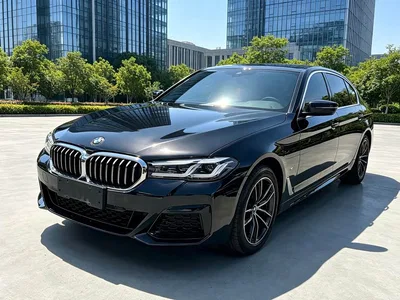 2022 BMW 5 Series 525Li Luxury Package, фото 1, лот 10479078