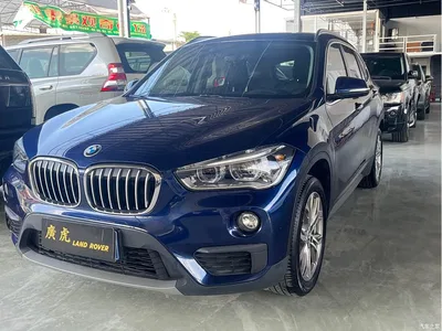 2019 BMW X1 sDrive20Li Leading Model, фото 2, лот 10424523