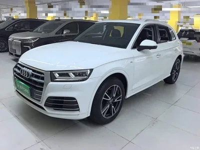 2018 Audi Q5L 45 TFSI Exclusive Fashion (China V), фото 2, лот 10456608