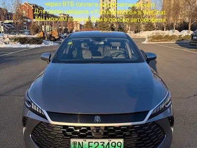 2025 BYD Qin PLUS DM-i Smart Drive 55KM Leader, фото 1, лот 10363010