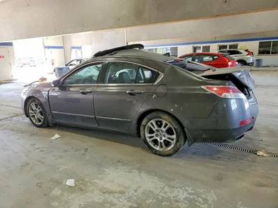 2009 ACURA TL, фото 2, лот 10869778