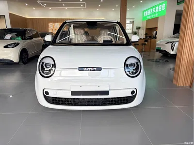 2026 Changan Qiyuan Changan Lumin Model 205km Treasure Edition, фото 2, лот 10889199