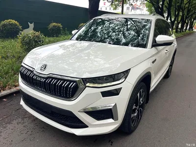 2022 Škoda Kodiaq TSI330 5-Seater 2WD Luxury Edition, фото 1, лот 10349016