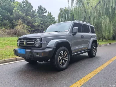 2023 Tank 300 Urban Edition 2.0T Very Stylish, фото 1, лот 11136648