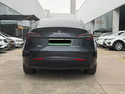 2024 Tesla Model Y Long Range AWD, фото 4, лот 11134570
