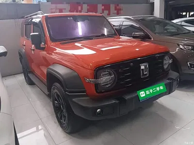 2023 Tank 300 Off-Road Edition 2.0T Conqueror, фото 4, лот 10345537