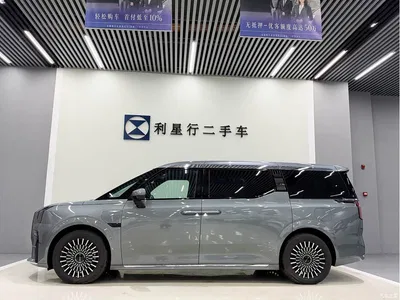 2024 ZEEKR 009 7-Seat Aisle AWD Version 108kWh, фото 2, лот 10955303