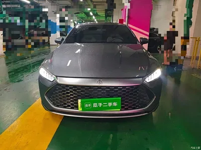 2024 BYD Qin PLUS Glory Edition DM-i 55KM Leading, фото 2, лот 10364374