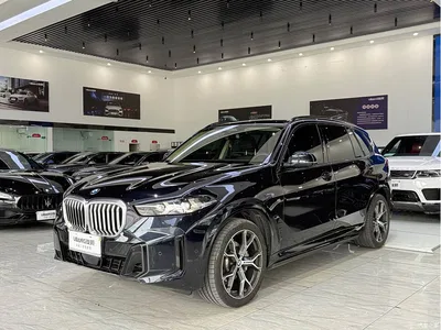 2025 BMW X5 Model xDrive 30Li Exclusive M Sport Blackout Package, фото 1, лот 10238721
