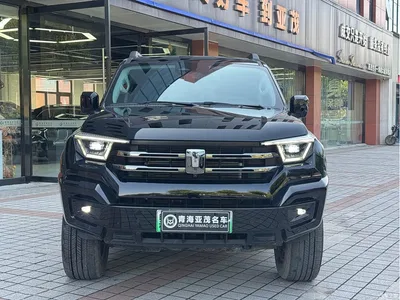 2024 Tank 400 New Energy Hi4-T Off-Road Edition, фото 2, лот 10905132