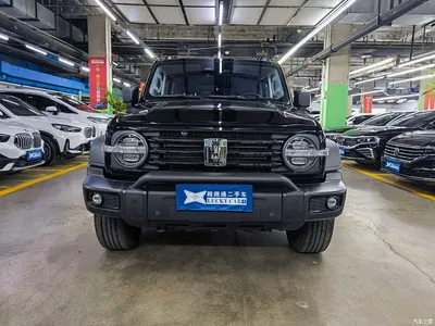2021 Tank 300 Off-road Edition 2.0T Challenger, фото 2, лот 10450114