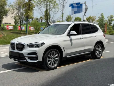 2021 BMW X3 xDrive25i Luxury Package, фото 1, лот 10460852