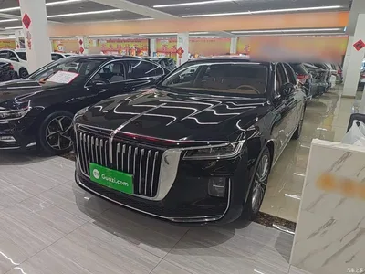 2020 Hongqi H9 2.0T Smart Connection Qi Xiang Edition, фото 1, лот 10289519