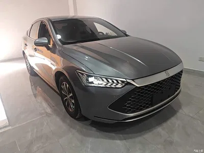 2024 BYD Qin PLUS Glory Edition DM-i 55KM Leading, фото 4, лот 10389045