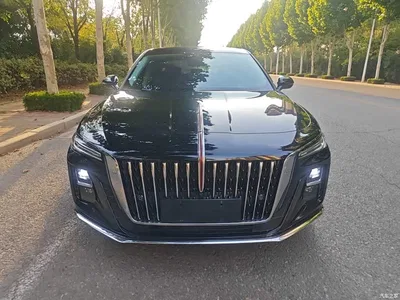 2024 Hongqi H5 1.5T DCT Smart Connect Flag Rhythm Edition, фото 3, лот 11095903