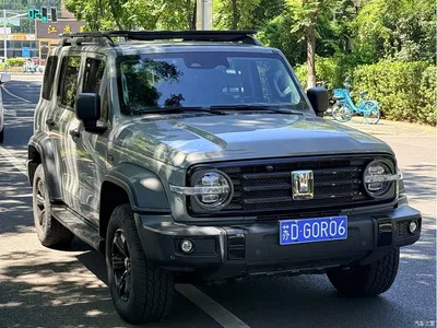 2021 Tank 300 Off-road Version 2.0T Conqueror, фото 3, лот 10345095