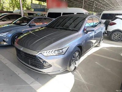 2024 BYD Qin PLUS Glory Edition DM-i 55KM Leading, фото 2, лот 11569111