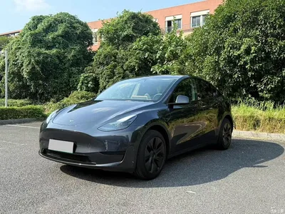 2024 Tesla Model Y Rear-Wheel Drive Version, фото 1, лот 10507495