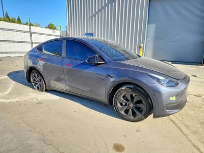 2023 TESLA MODEL Y, фото 4, лот 10618182