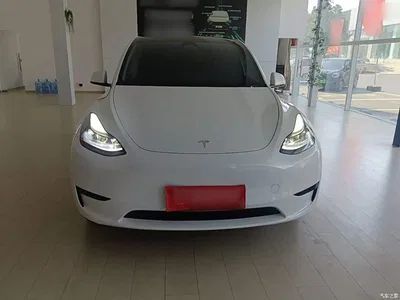 2024 Tesla Model Y Rear-Wheel Drive Version, фото 3, лот 10434984