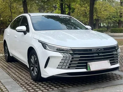 2024 BYD Destroyer 05 Glory Edition DM-i 55KM Luxury, фото 2, лот 10254928