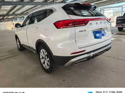 2021 Haval H6 Model 1.5T Automatic Champion Edition, фото 4, лот 11549474
