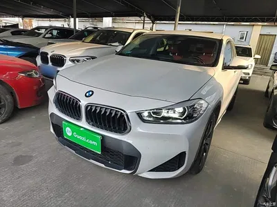 2021 BMW X2 sDrive20i M Off-Road Package, фото 2, лот 10626231