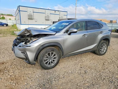 2020 LEXUS NX 300, фото 1, лот 10844070