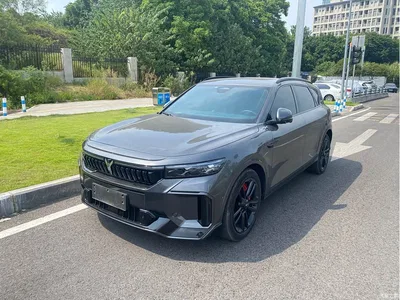 2025 Voyah Auto VOYAH FREE 318 318km RWD Touring Edition, фото 1, лот 10312357