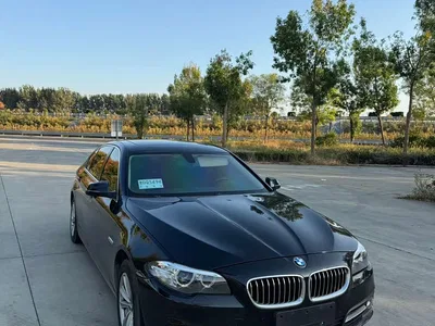 2014 BMW 5 Series 520Li Elegance, фото 1, лот 11067609