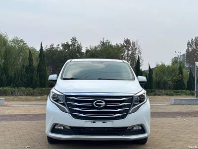 2018 GAC Trumpchi Trumpchi M8 320T Exclusive Edition, фото 2, лот 11197228