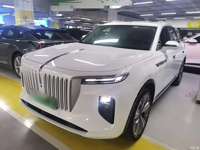 2021 Hongqi E-HS9 460km Flagship Deluxe 7-seater, фото 1, лот 11136554