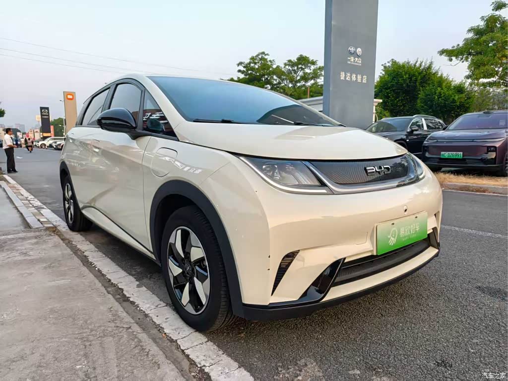 2024 BYD Dolphin Glory Edition 420km Freedom Edition, фото 3, лот 11205693