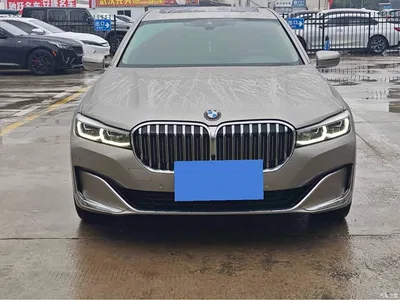 2019 BMW 7 Series Facelift 730Li Luxury Package, фото 2, лот 11499268