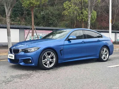 2017 BMW 4 Series 425i Gran Coupe Premium M Sport Package, фото 1, лот 10689401
