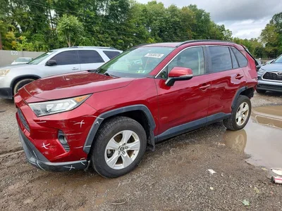 2019 TOYOTA RAV4 XLE, фото 1, лот 11271261