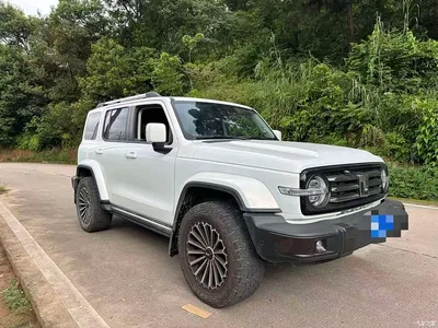 2023 Tank 300 Urban Edition 2.0T Must-Have Type, фото 3, лот 10453247