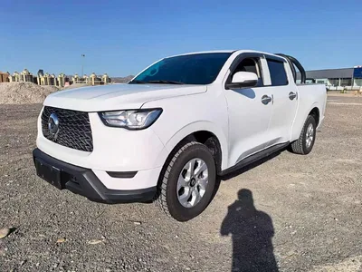 2021 Great Wall Pao 2.0T Commercial Edition Manual Gasoline 4WD Elite Long Box GW4C20B, фото 1, лот 10245870
