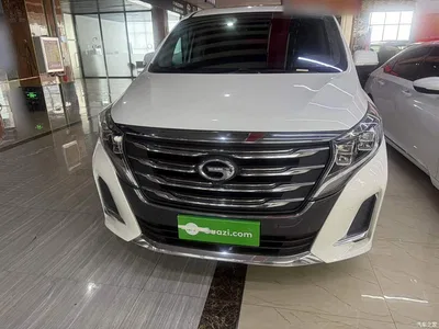2020 GAC Trumpchi Trumpchi M8 Pilot 390T Ultimate Edition, фото 3, лот 10424624
