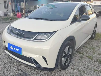 2023 BYD Dolphin 420km Fashion Edition, фото 1, лот 10251704