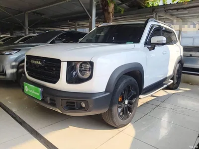 2022 Haval Big Dog 1.5T DCT FWD Border Collie Edition, фото 1, лот 10361299