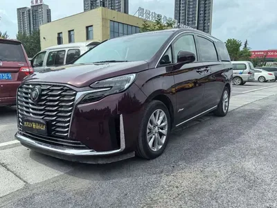 2023 Buick GL8 Avenir 7-Seater Family Edition, фото 1, лот 11099021
