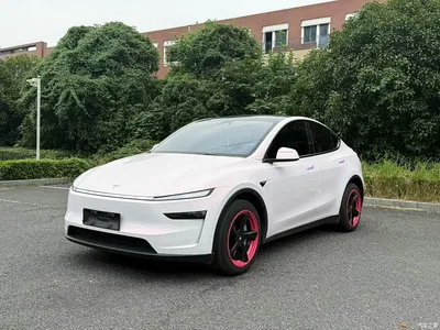 2026 Tesla Model Y Rear-Wheel Drive, фото 1, лот 10889978