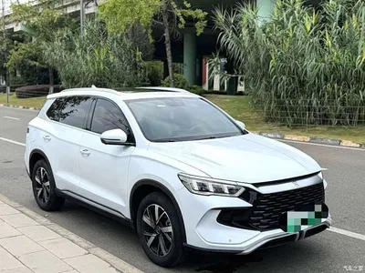 2024 Byd Song Pro, фото 3, лот 10273208