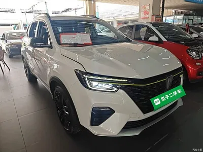 2020 Roewe RX5 New Energy ePLUS Guochao Ronglin Flagship Edition, фото 4, лот 10342010