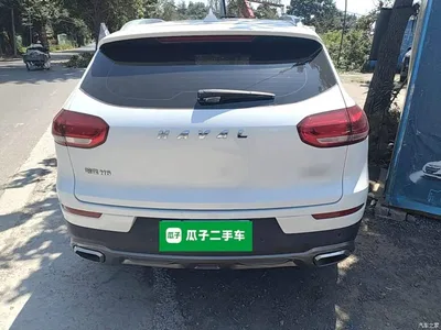 2020 Haval H6 1.5GDIT Automatic Platinum Champion Edition, фото 4, лот 10286075